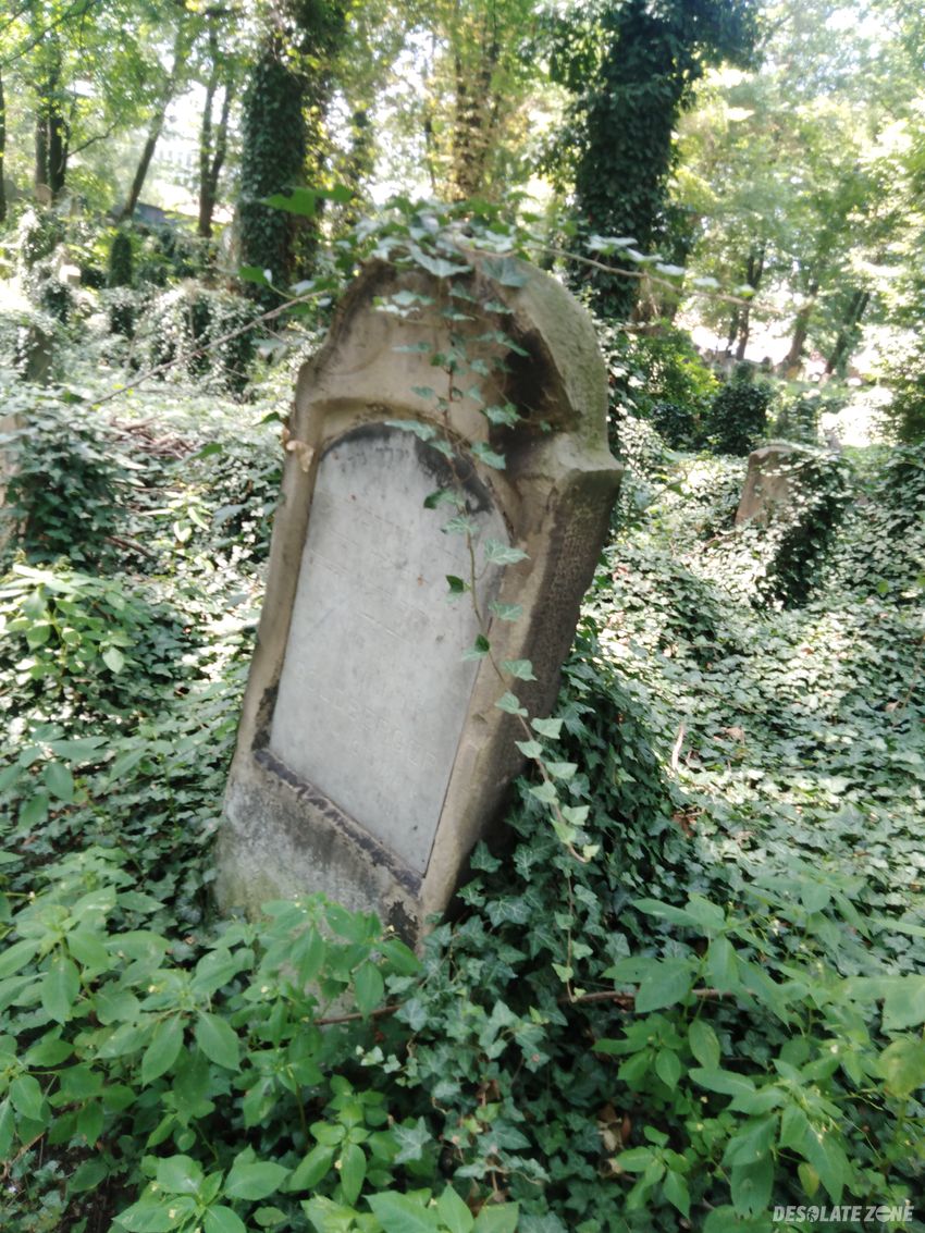 Stary cmentarz żydowski w krakowie