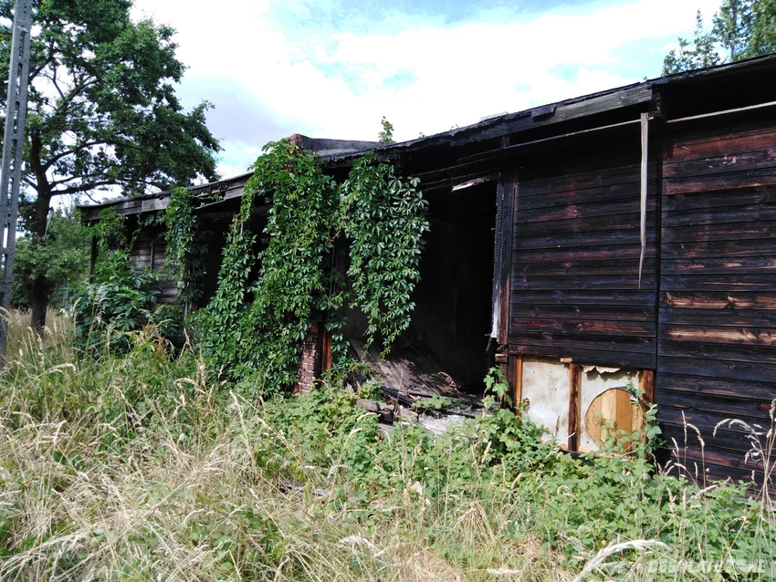 Drewniane domki po pożarze