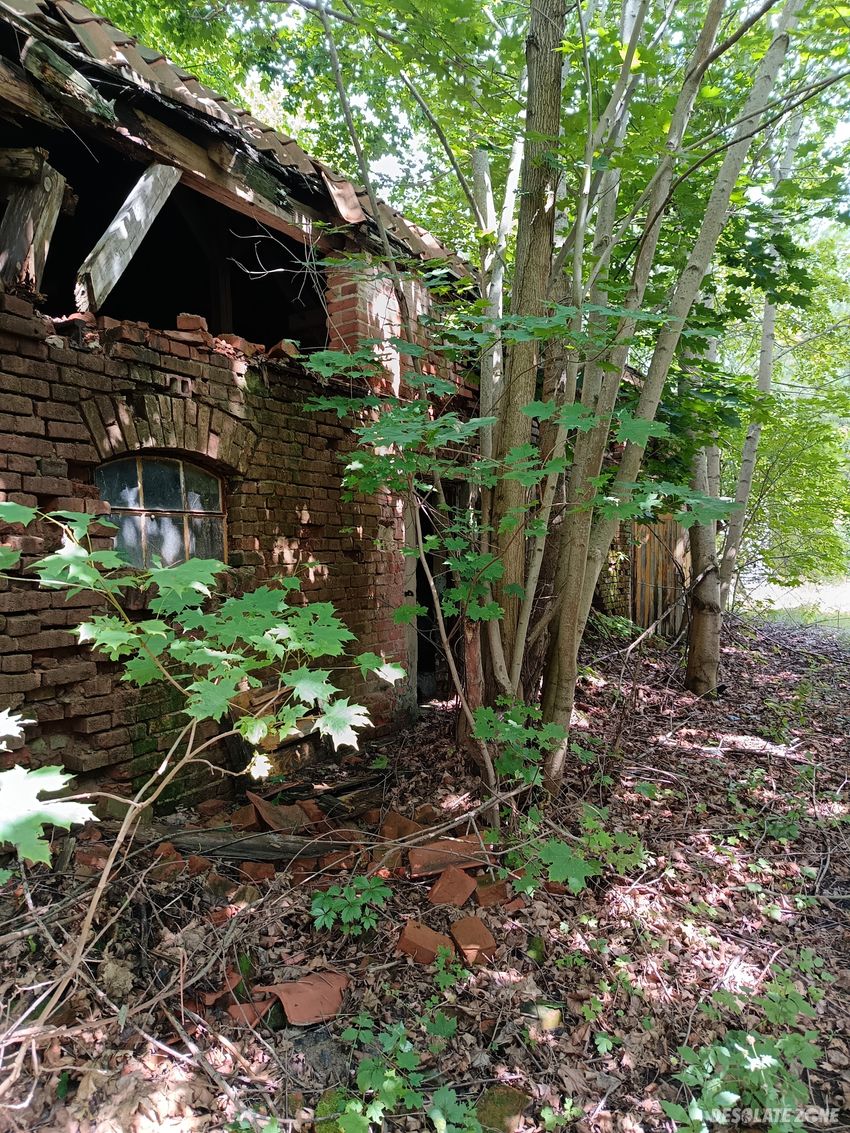 Oouszczone schronisko