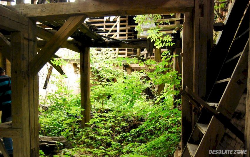 Stara cegielnia, kobylice