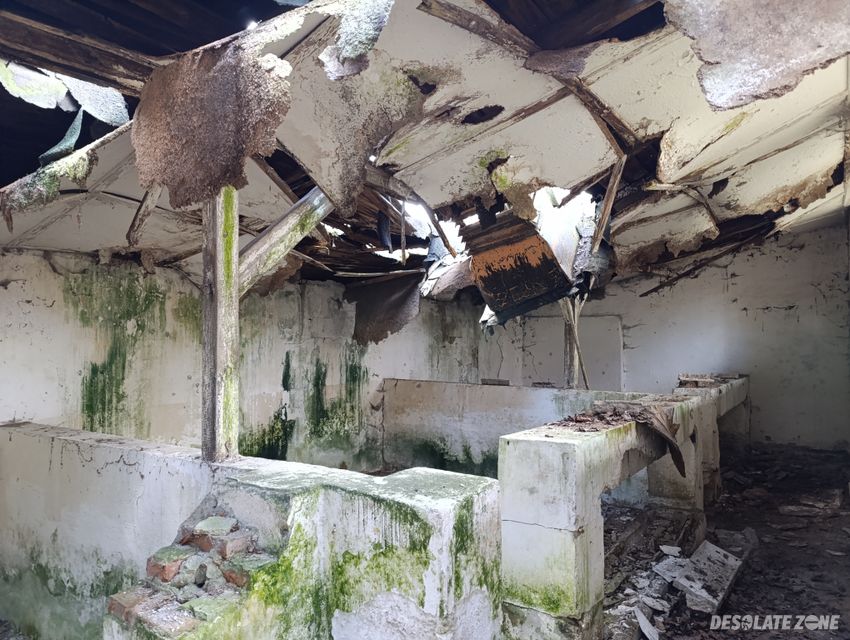 Stary p g r, bądzyń