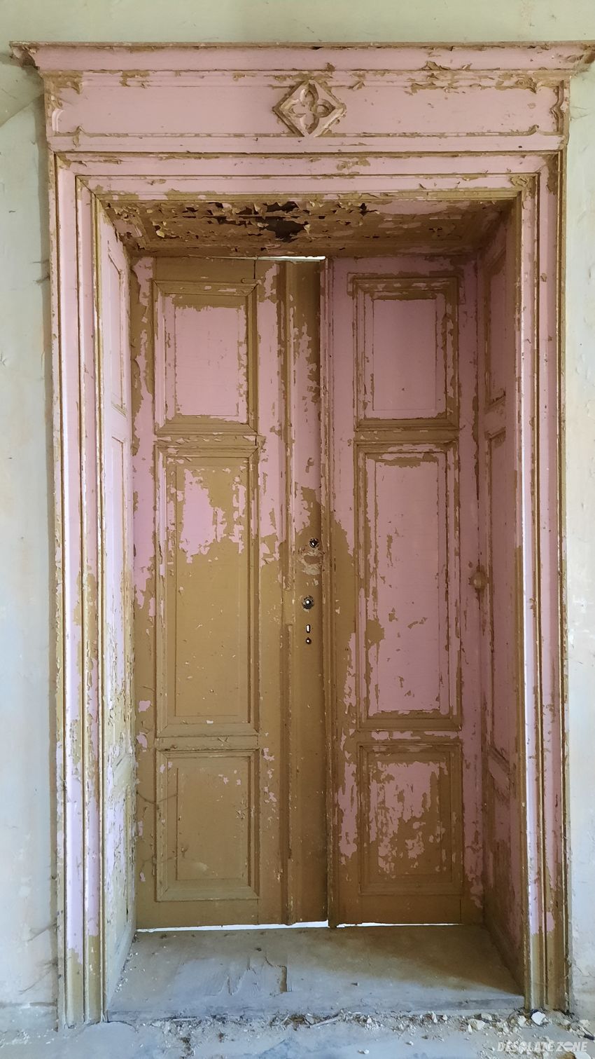 Pałac, grudynia mała