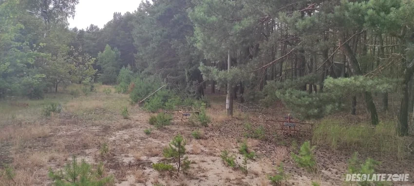 Stanica harcerska patyki