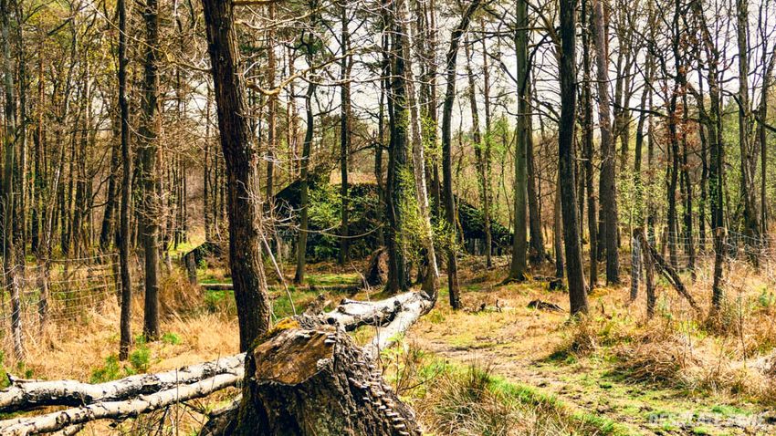 Most cygański w katowicach