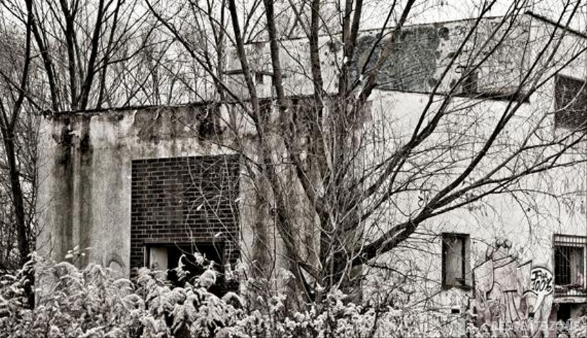 P k p brochów #1 - malutka hala, wrocław