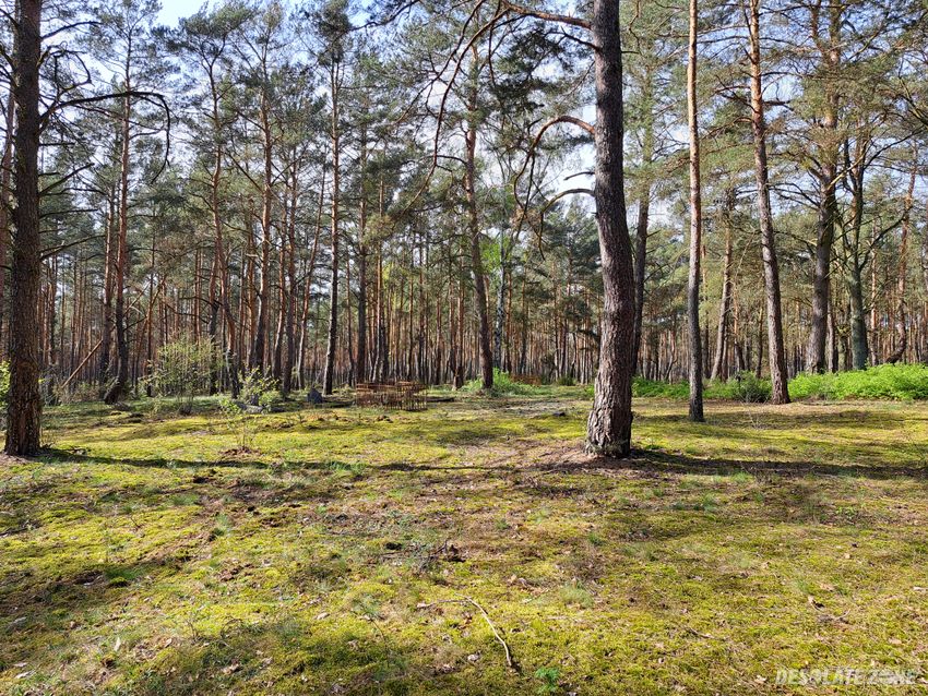 Cmentarz ewangelicki