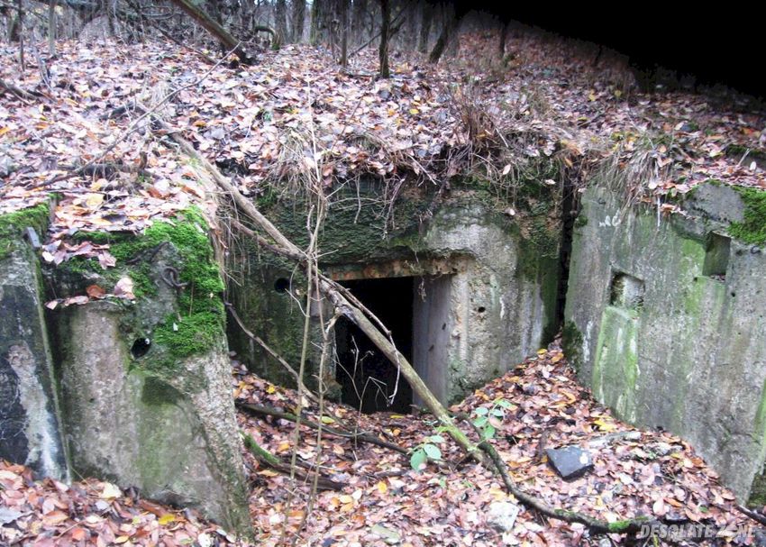 Strączno - schrony, strączno