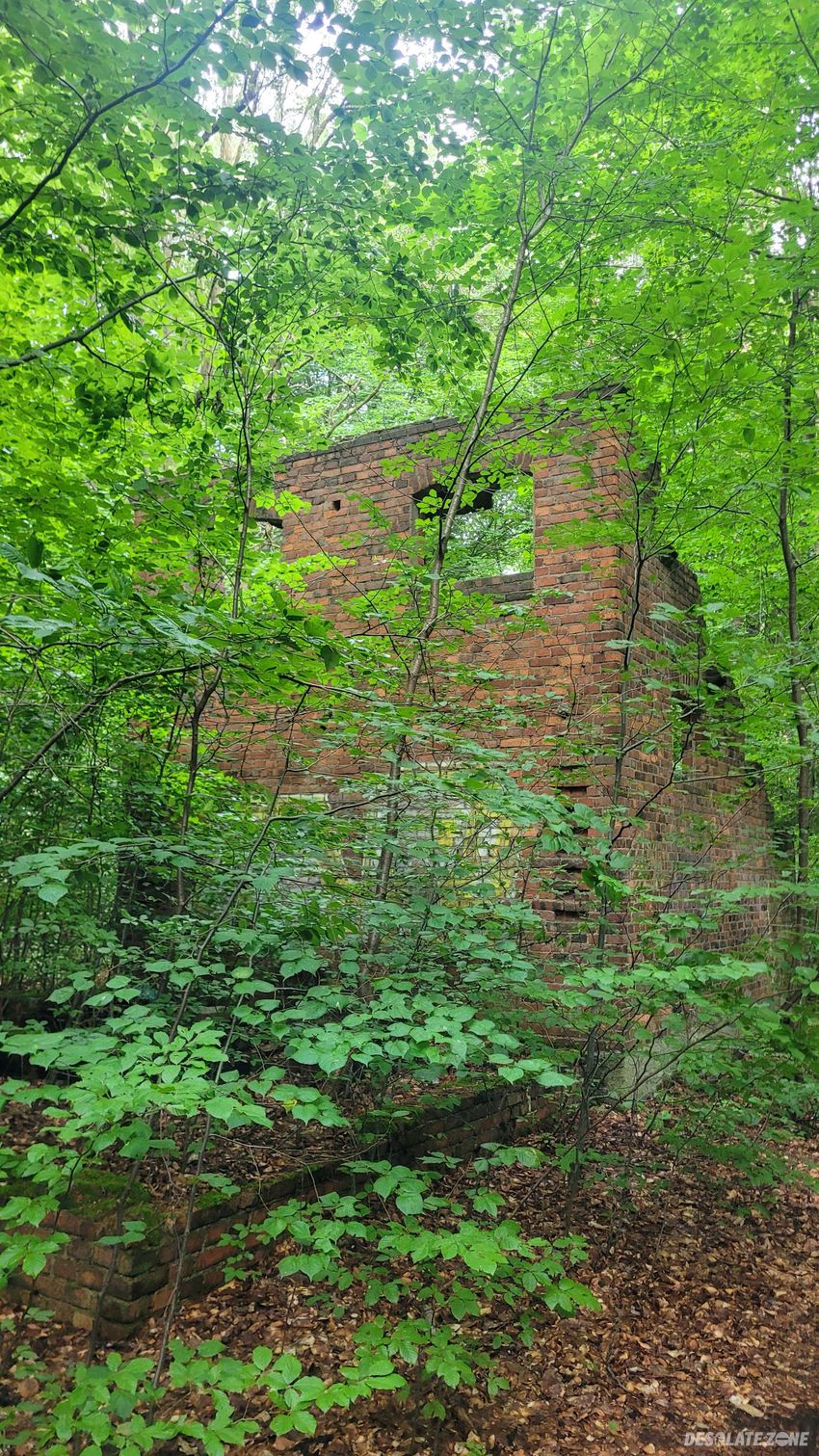 Ruiny kopalni augusta