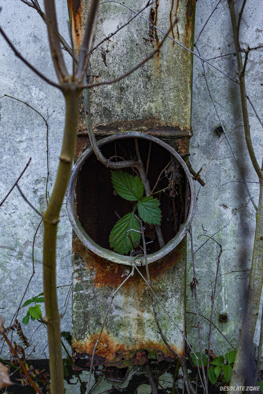 Spółdzielnia wyrobów cukierniczych “ wrocławianka”