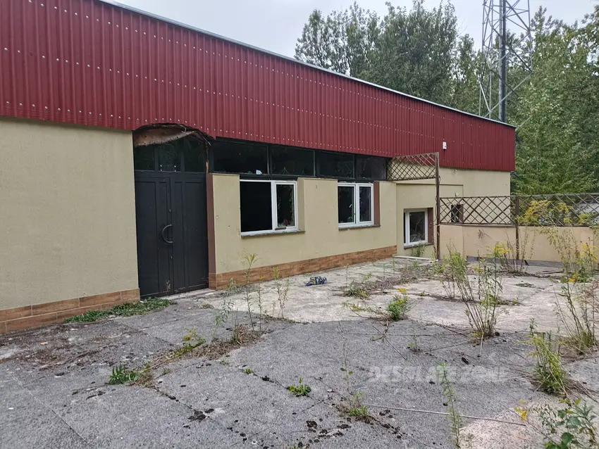 Basen małomicki , lubin - photo 1/15