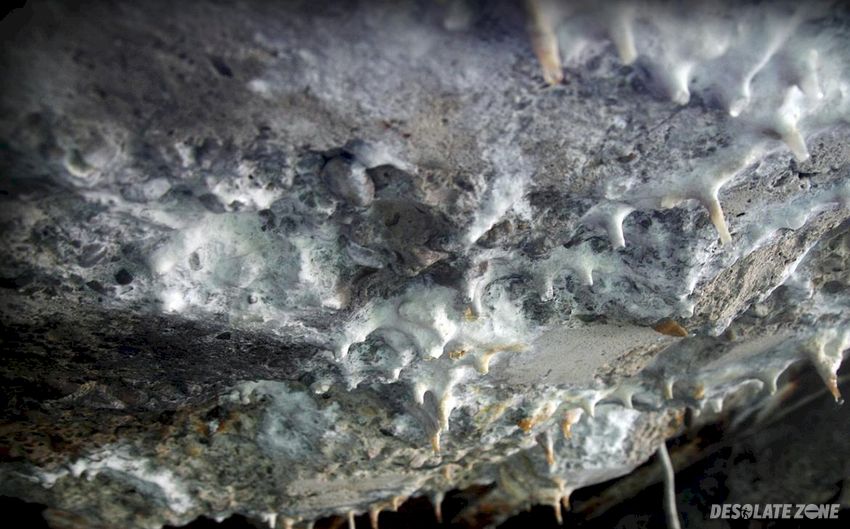 Bunkier regelbau 120a, okolice dąbkowizny