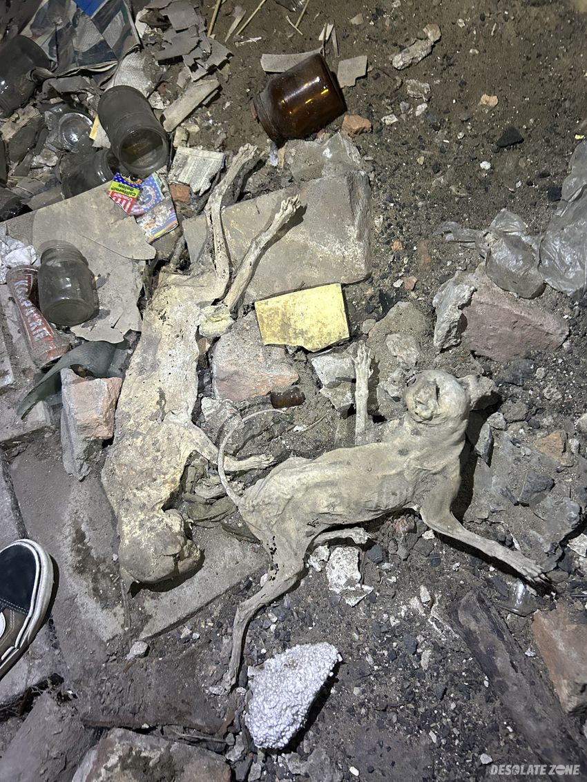 Opuszczona kamienica "spadające tynki"