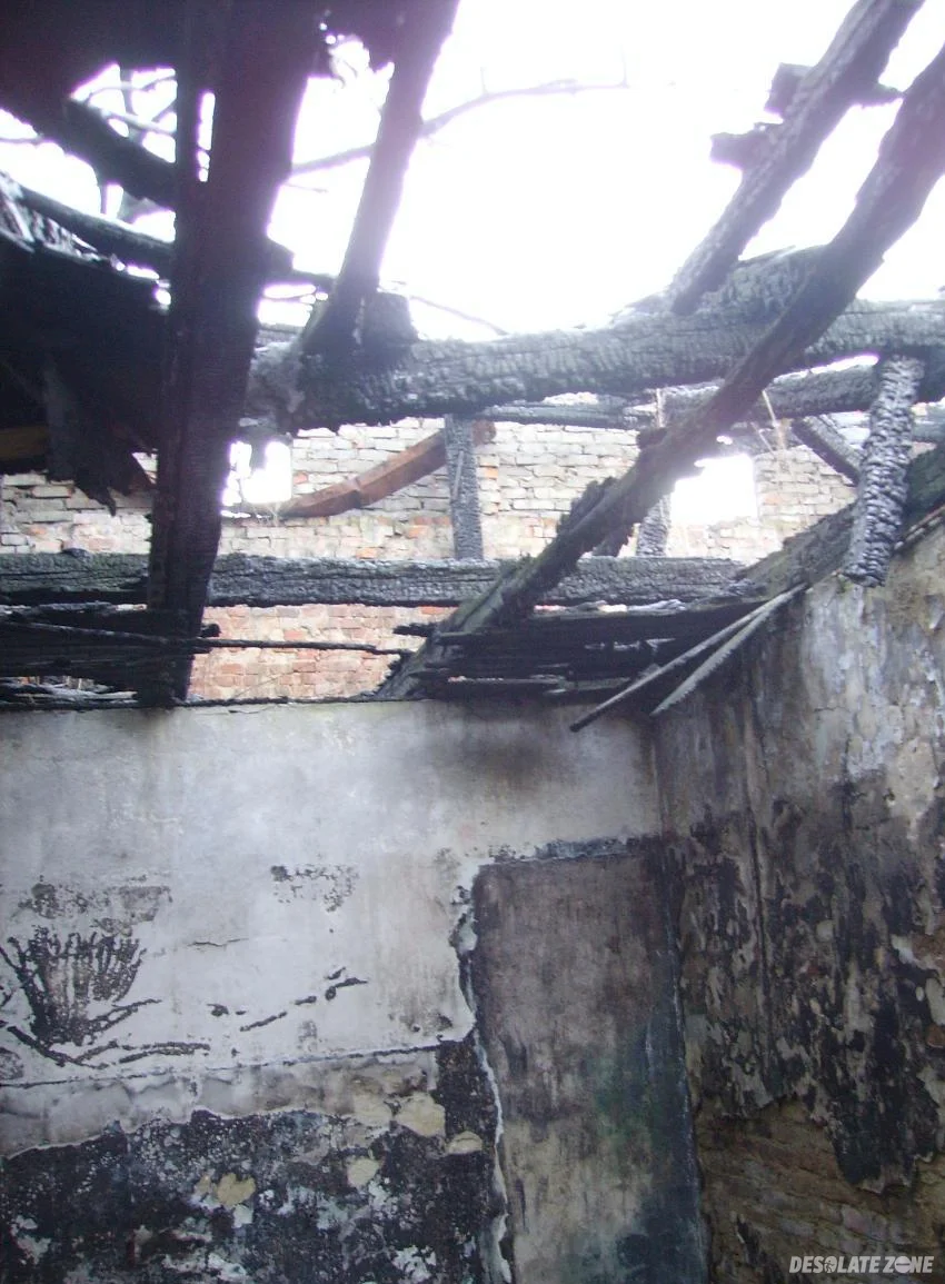 Opuszczone schronisko dla zwierząt, bielsko- biała