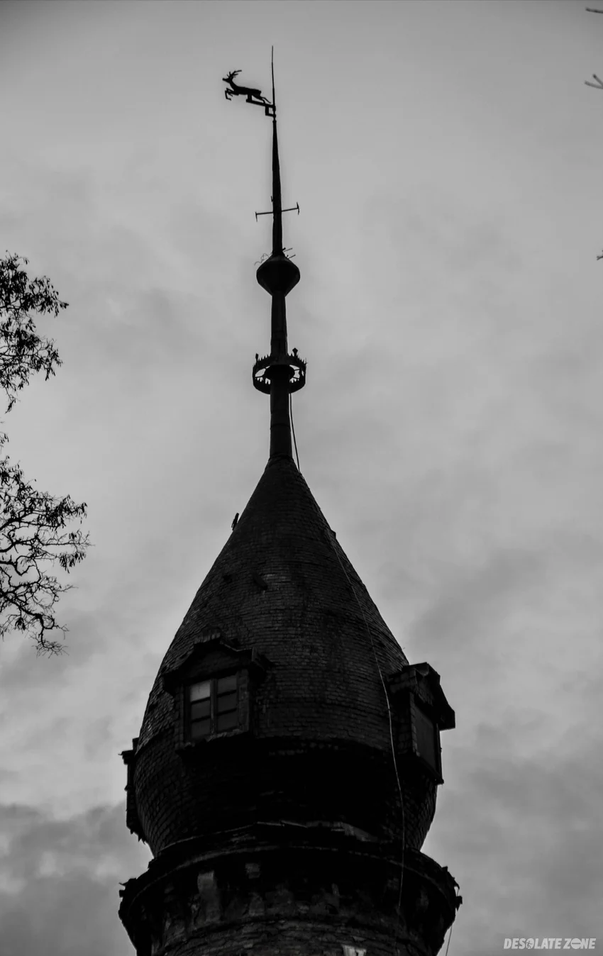 Pałac w kruszewie, kruszewo