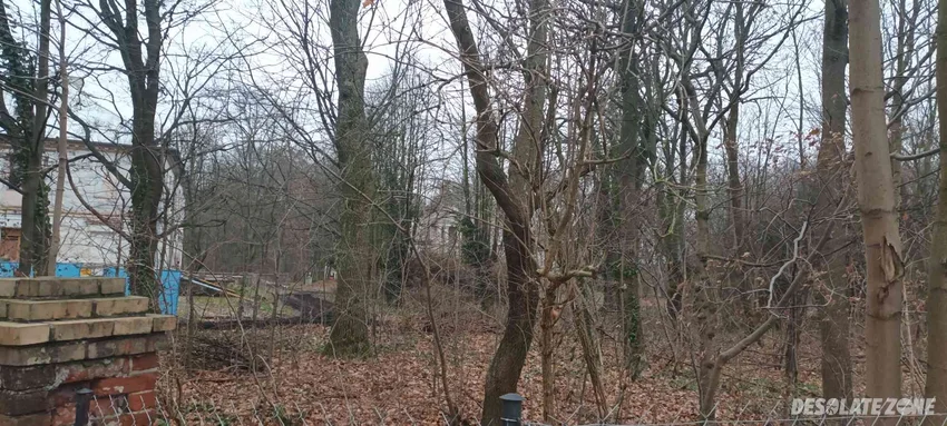 Opuszczony pałac/szkoła podstawowa grodziec