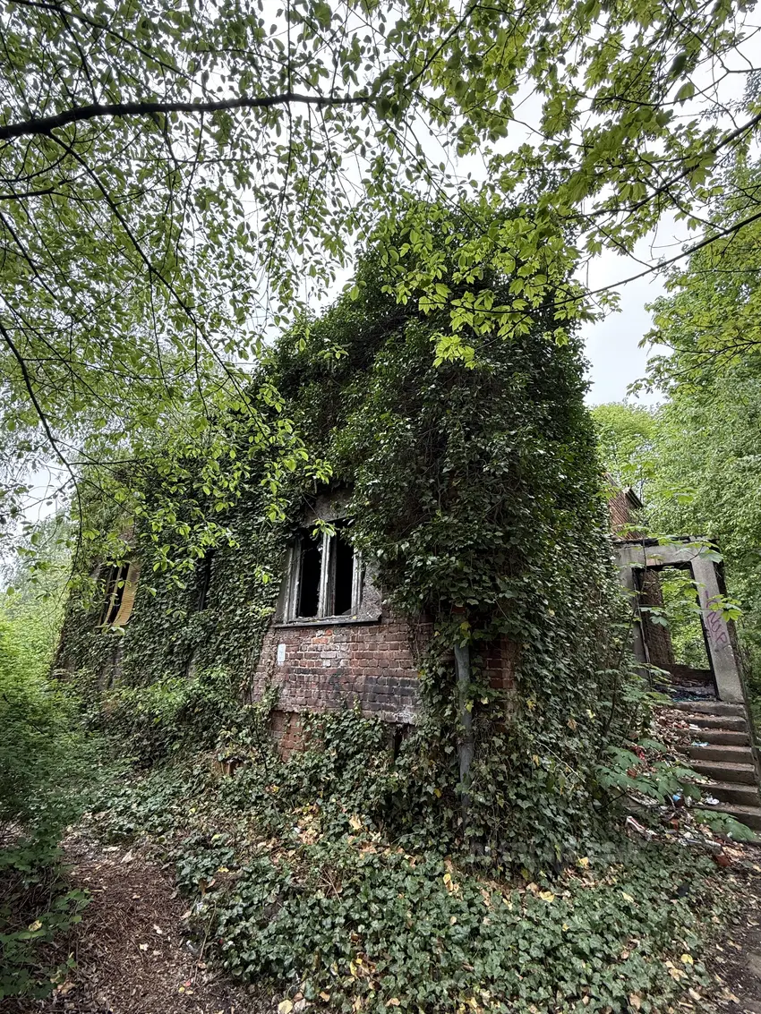 Opuszczony dom - zdjęcie 1/4