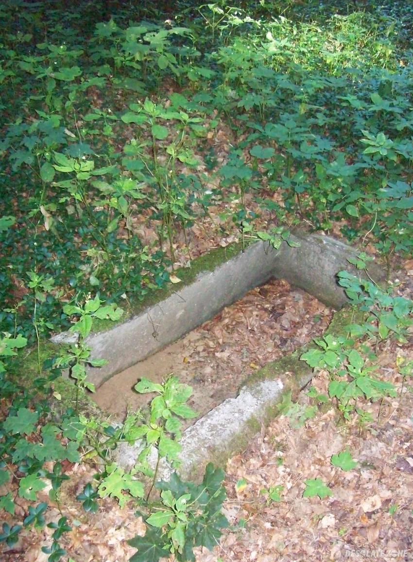 Przedwojenny cmentarz szpitala psychiatrycznego, wejherowo