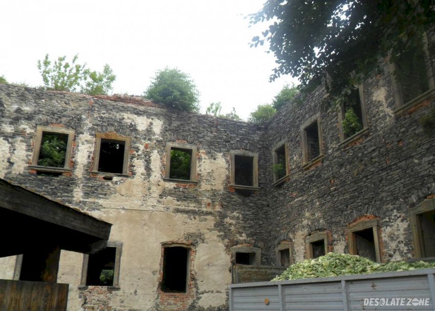 Ruiny klasztoru cystersów, winnica