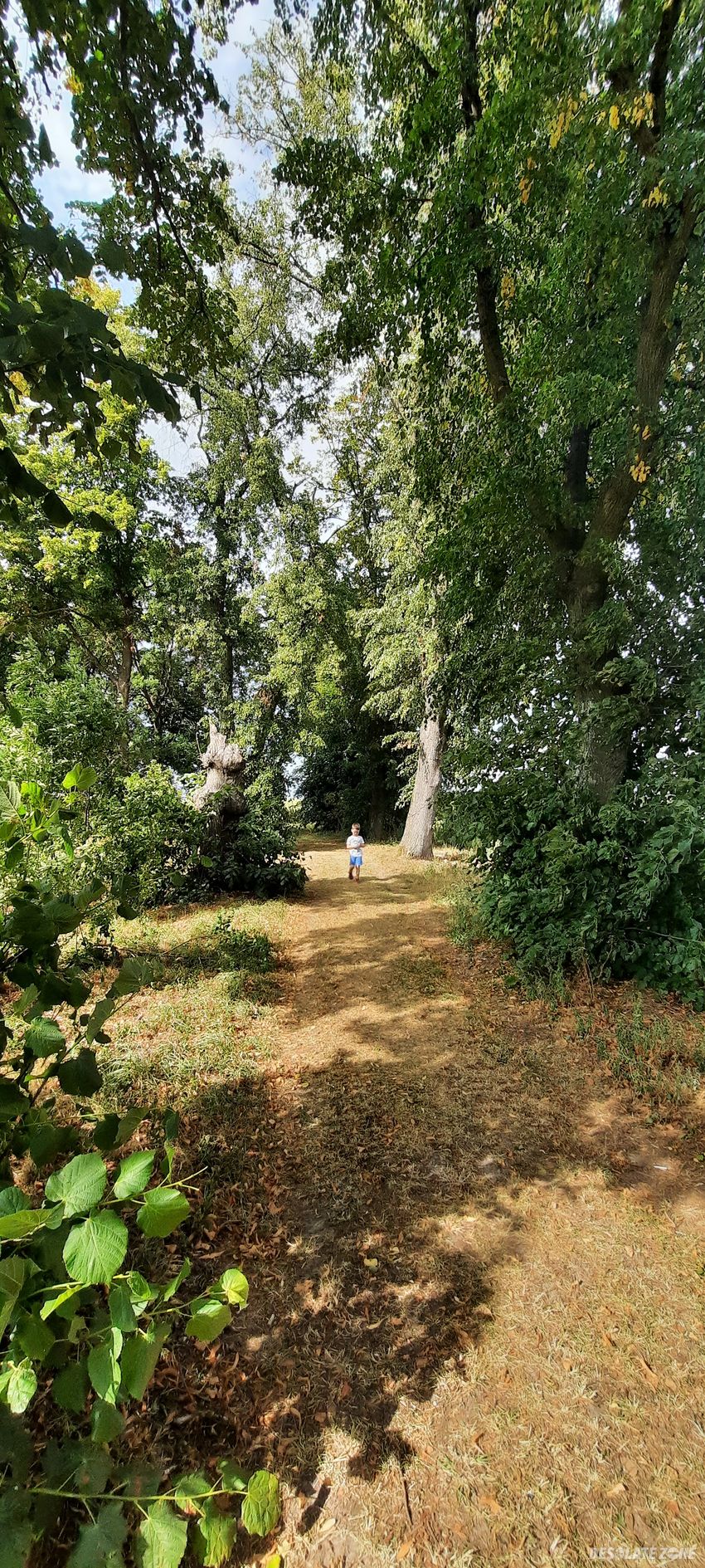 Kaplica rodzinna koernerów, stołężyn