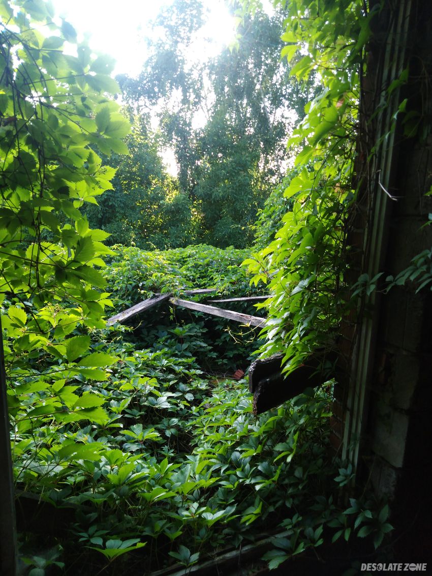 Opuszczony dom, kraków