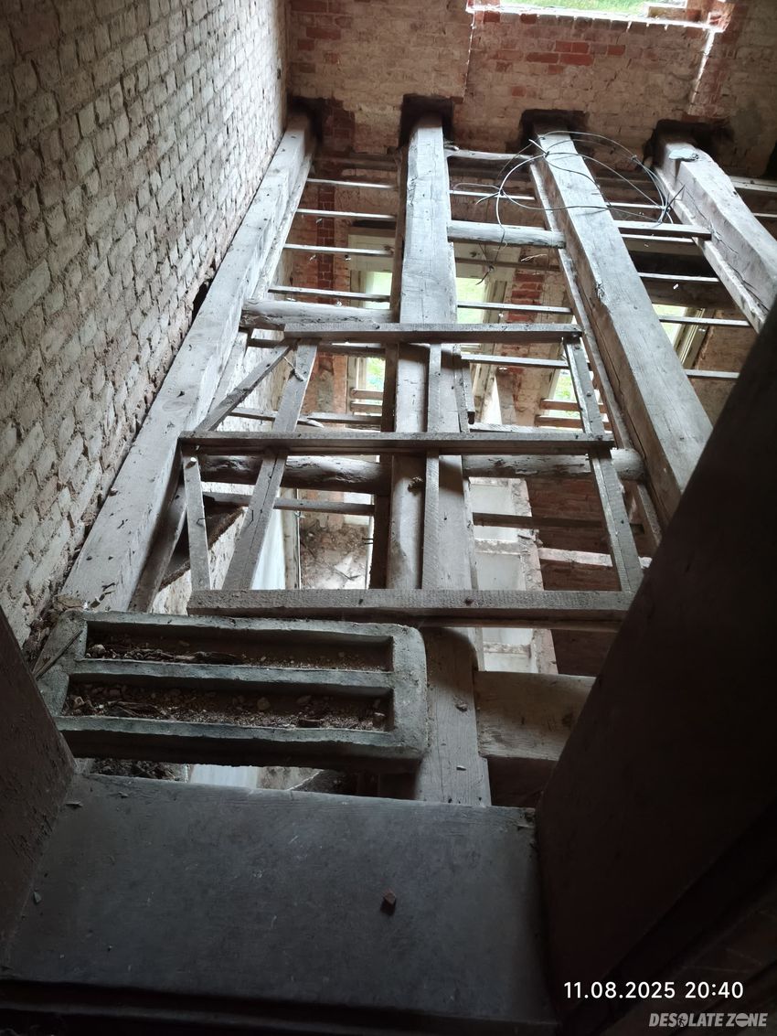 Pałac z x i x-wieku., dreżewo