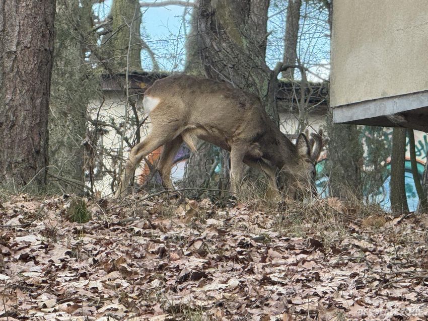 Ośrodek wczasowy bryza