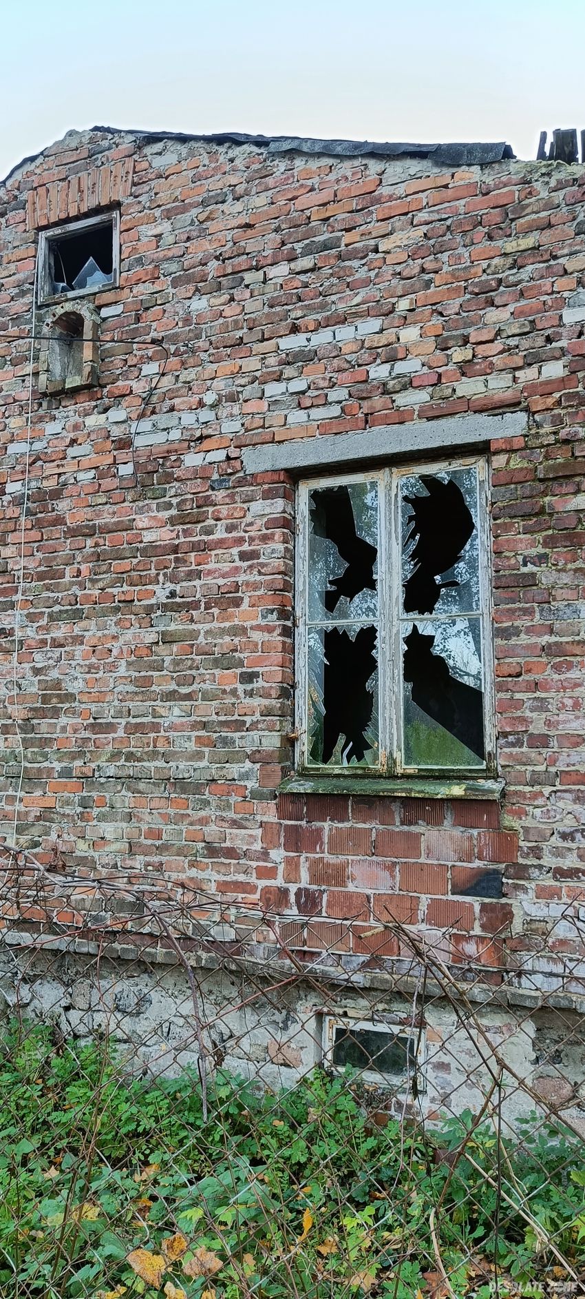 Domw idealnym stanie