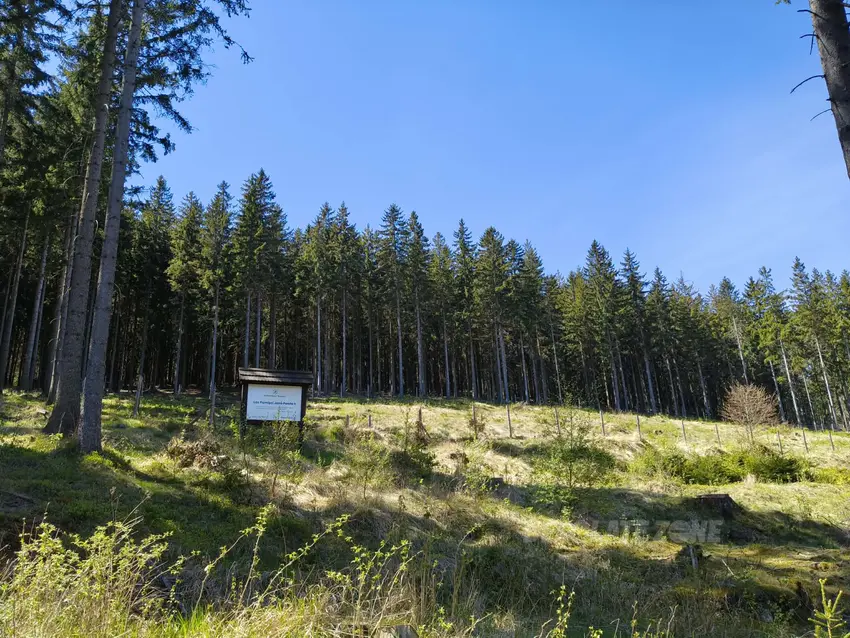 Dawna kopalnia uranu, kowary - podgórze - photo 1/4