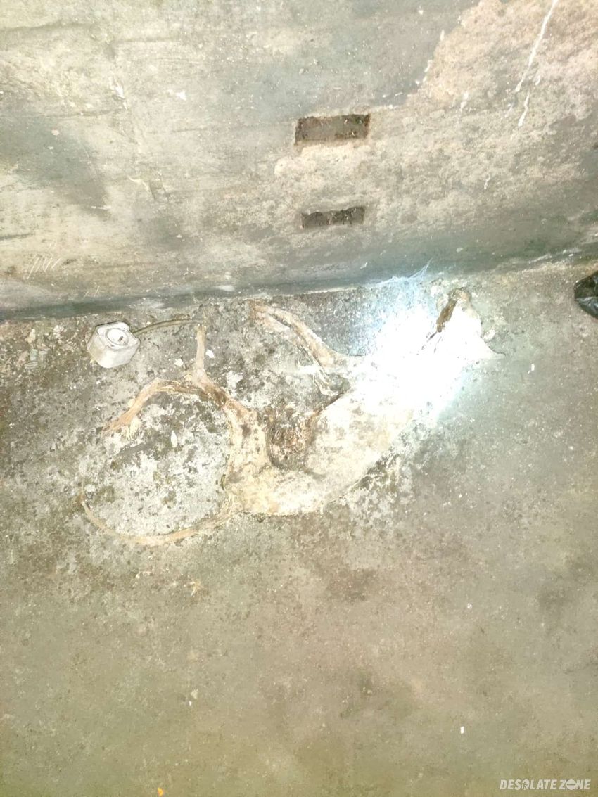 Opuszczony schron przy ulicy wszystkich świętych.