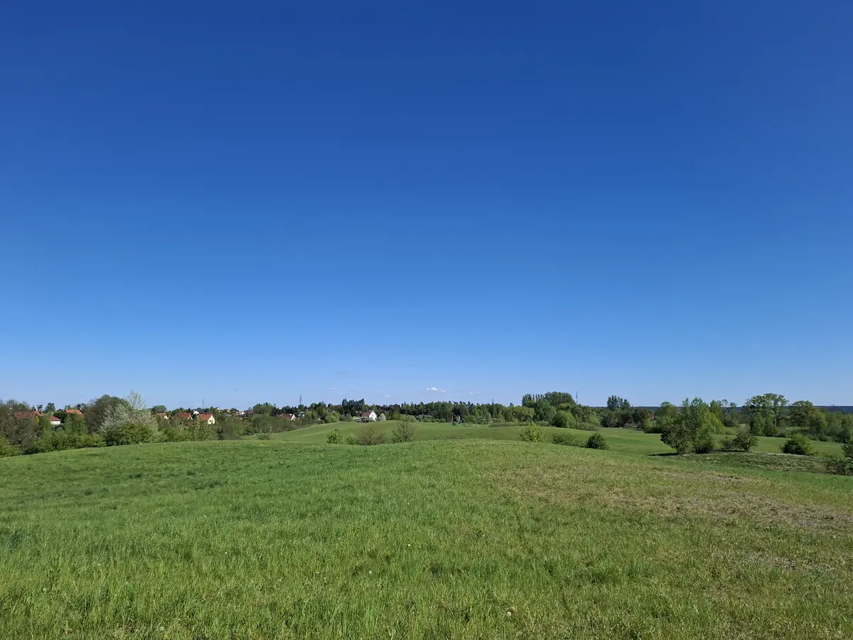 Bartloszwnia