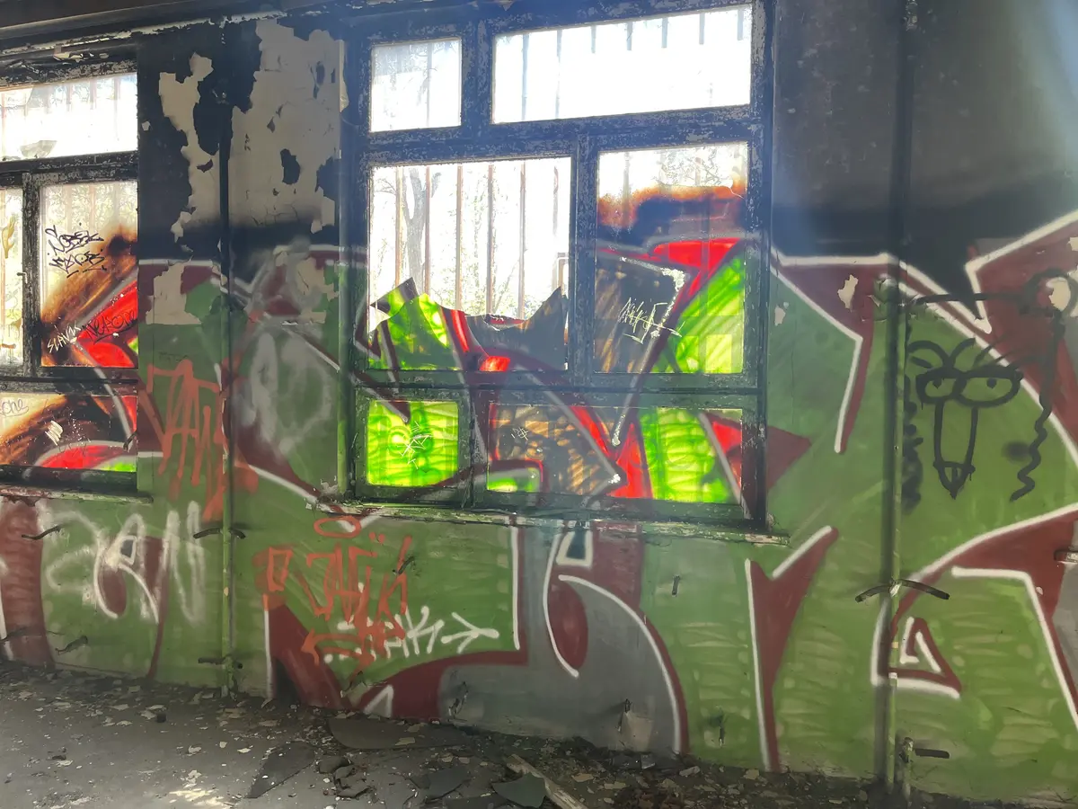 angellxz