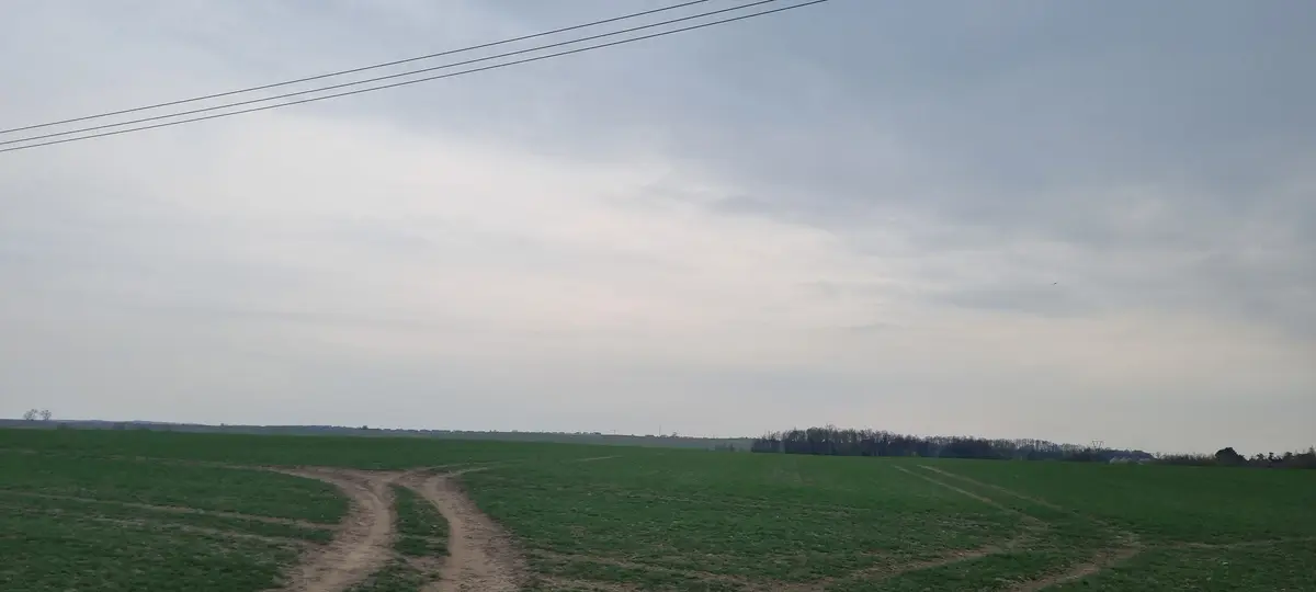 DrążekSuperSus