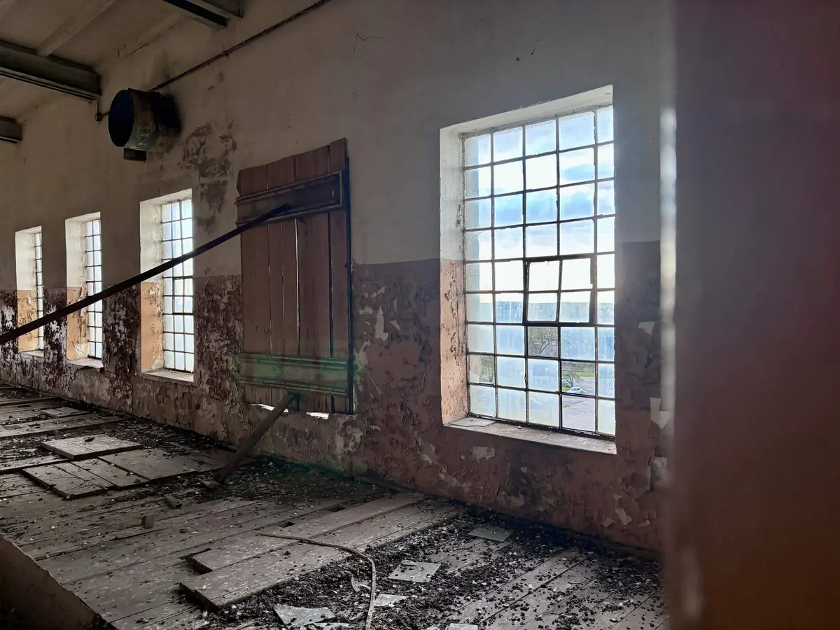 Janek_strzelec_Bramek