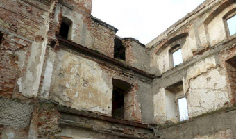 Ruiny pałacu, Wilkanów,