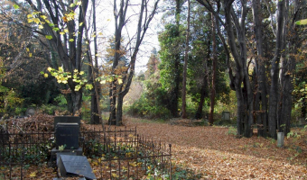 Stary cmentarz ewangelicki w Bielsku - Białej, Bielsko - Biała,