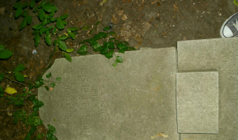 Zrujnowany cmentarz, Gdańsk Wrzeszcz,