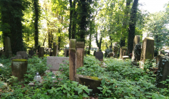 Stary cmentarz żydowski w Krakowie,