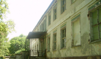 Pałac - opuszczona kolonia, Debrznica,