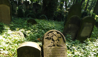 Stary cmentarz żydowski w Krakowie,