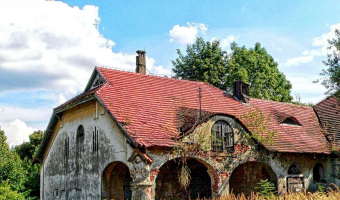 Ruiny pałacu, Strzybnik,