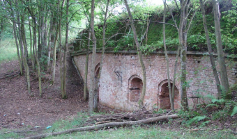 Fort Żabice, Żabice,