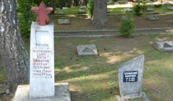 Cmentarz wojenny/cmentarz wojskowy, okolice bornego sulinowa