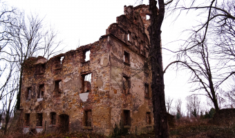 Zespół dworski – ruiny