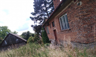 Opuszczony dom bibice