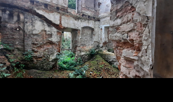 Ruiny pałacu w głębowicach