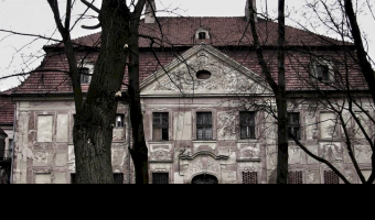 Pałac, Żukowice,