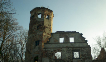 Ruiny palacu, Jedrzychowice,