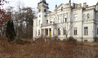 Pałac Wola Boglewska była szkola,