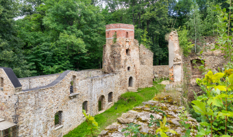 Ruiny Zamku Świecie.,