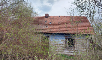 Opuszczona chata z musztardą